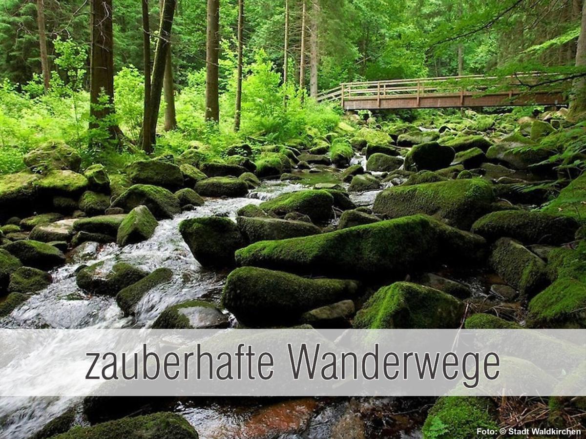 Huette41: Ganze Huette Nah Am See Mit Privatem Whirlpool, Sauna. Umzaeunt. Waldkirchen Exteriér fotografie