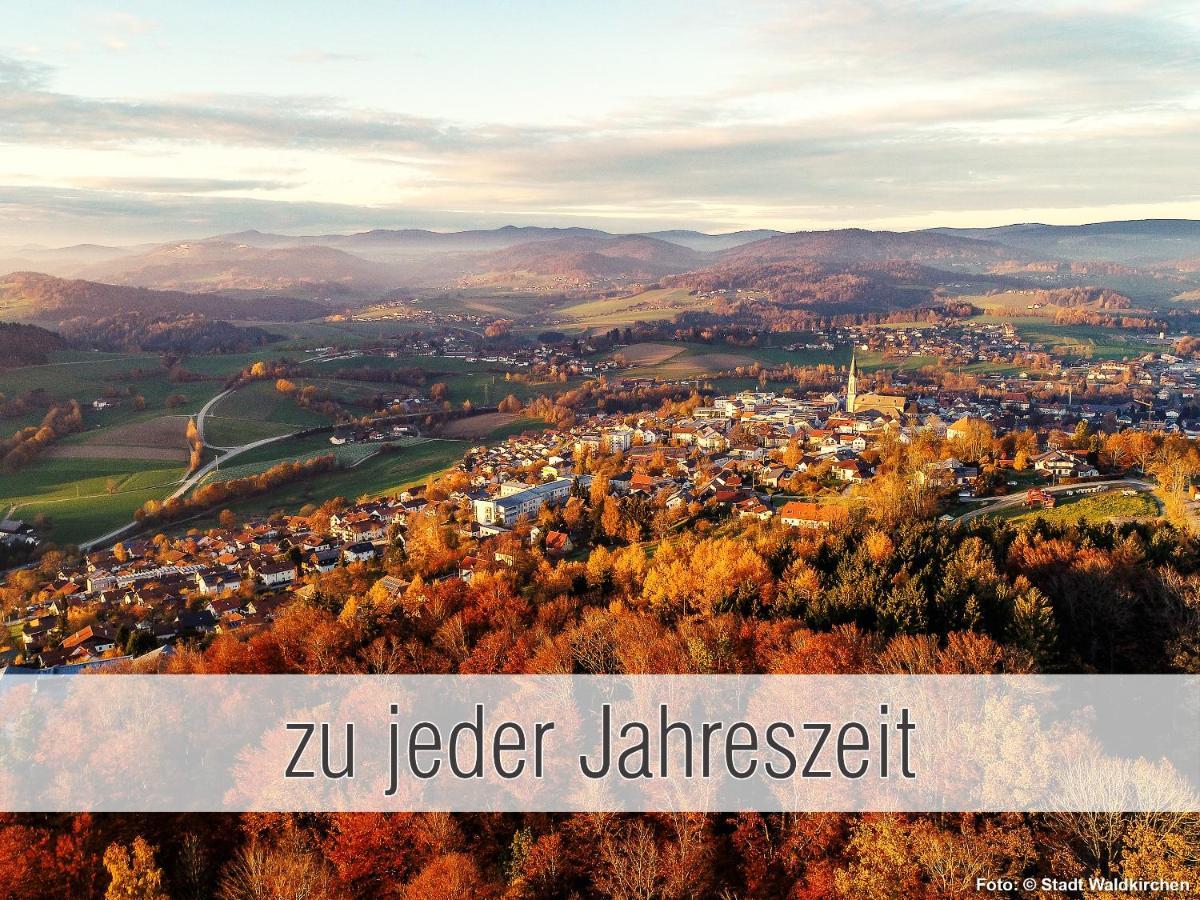 Huette41: Ganze Huette Nah Am See Mit Privatem Whirlpool, Sauna. Umzaeunt. Waldkirchen Exteriér fotografie