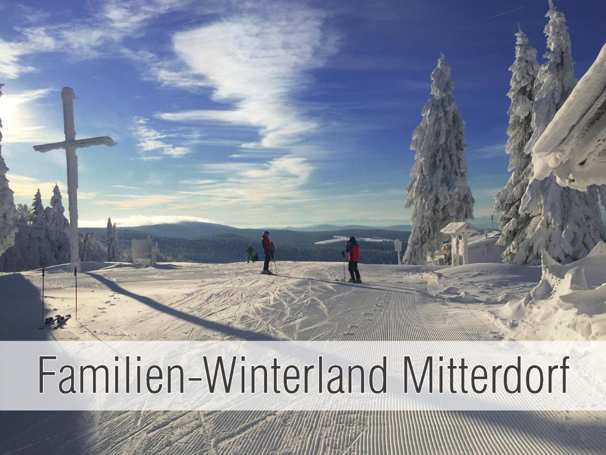 Huette41: Ganze Huette Nah Am See Mit Privatem Whirlpool, Sauna. Umzaeunt. Waldkirchen Exteriér fotografie