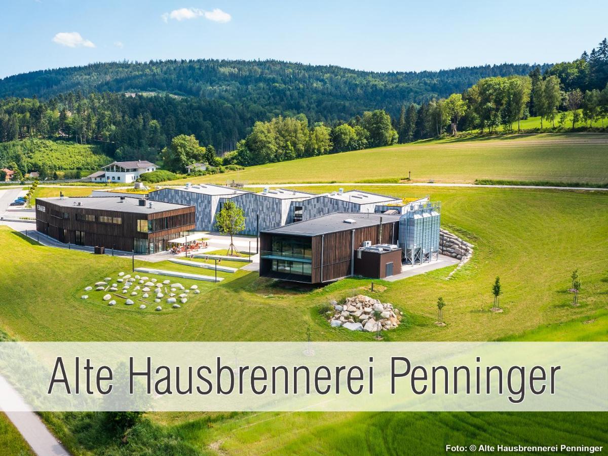Huette41: Ganze Huette Nah Am See Mit Privatem Whirlpool, Sauna. Umzaeunt. Waldkirchen Exteriér fotografie